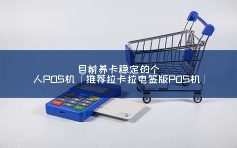 目前养卡稳定的个人POS机「推荐拉卡拉电签版POS机」