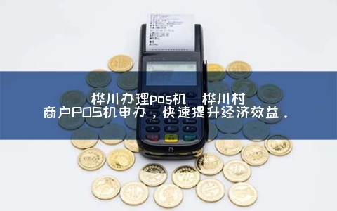 桦川申请POS机(桦川村商户POS机申办，快速提升经济效益。)