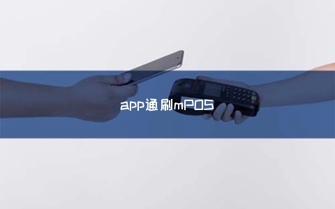 app通刷mPOS